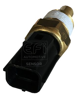 EFI AUTOMOTIVE 295159