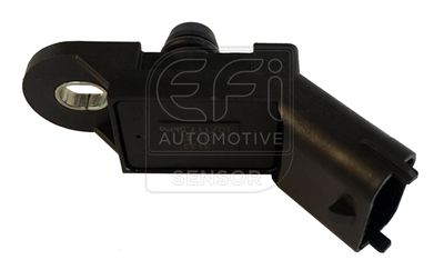 EFI AUTOMOTIVE 291018