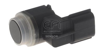 EFI AUTOMOTIVE 306037