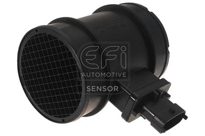 EFI AUTOMOTIVE 305119