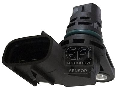 EFI AUTOMOTIVE 303435