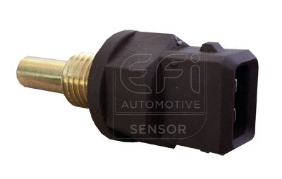 EFI AUTOMOTIVE 295124