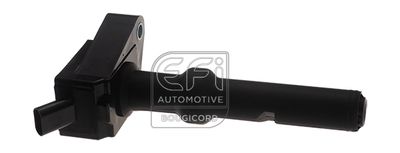 EFI AUTOMOTIVE 155534