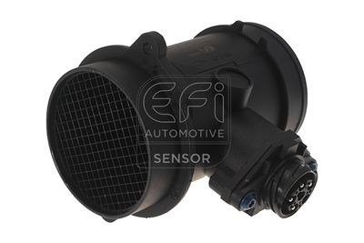 EFI AUTOMOTIVE 305061