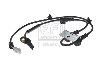 EFI AUTOMOTIVE 302441