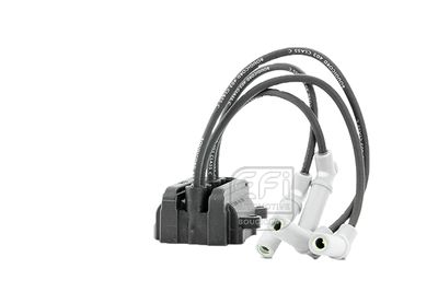 EFI AUTOMOTIVE 151402