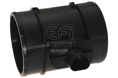 EFI AUTOMOTIVE 305125