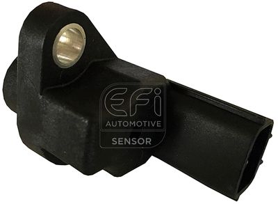 EFI AUTOMOTIVE 303353