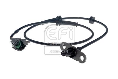 EFI AUTOMOTIVE 302451