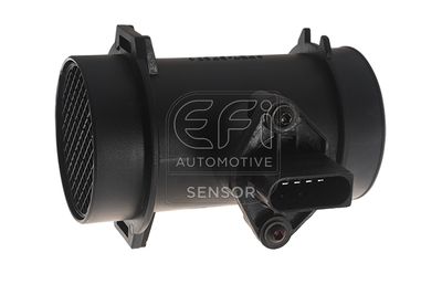 EFI AUTOMOTIVE 305144