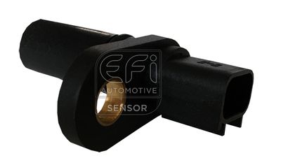 EFI AUTOMOTIVE 303224