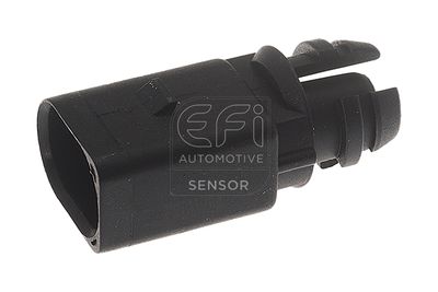 EFI AUTOMOTIVE 295111