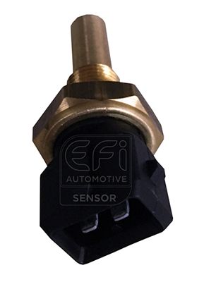 EFI AUTOMOTIVE 295088