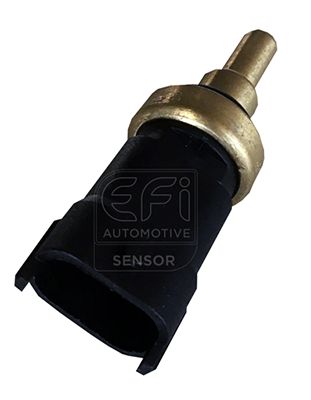 EFI AUTOMOTIVE 295098