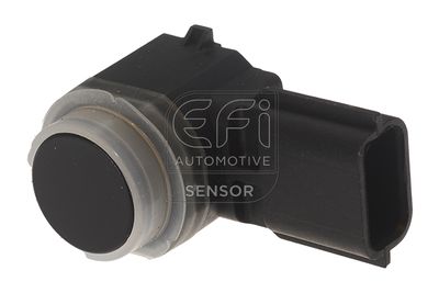 EFI AUTOMOTIVE 306053