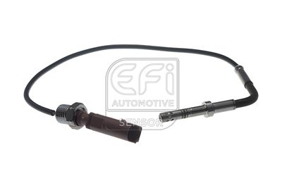 EFI AUTOMOTIVE 1473210