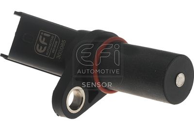 EFI AUTOMOTIVE 303085