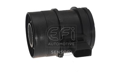 EFI AUTOMOTIVE 305053