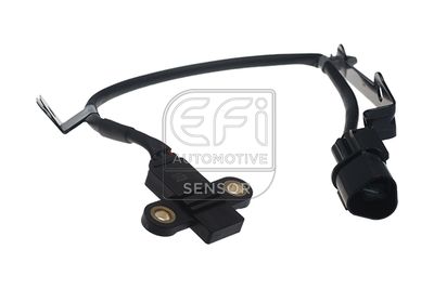 EFI AUTOMOTIVE 303476