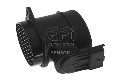 EFI AUTOMOTIVE 305079