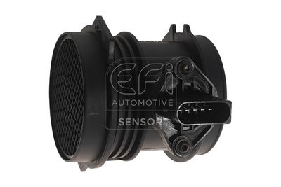 EFI AUTOMOTIVE 305110