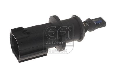 EFI AUTOMOTIVE 295033