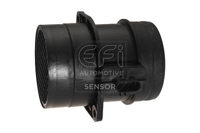 EFI AUTOMOTIVE 305130