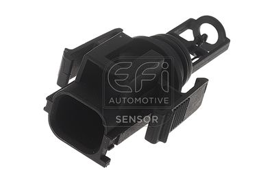 EFI AUTOMOTIVE 295032