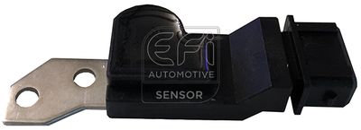 EFI AUTOMOTIVE 303359