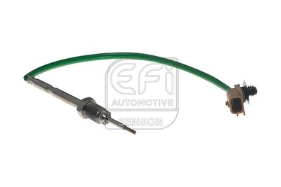 EFI AUTOMOTIVE 1473116