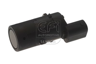 EFI AUTOMOTIVE 306063