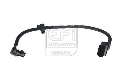 EFI AUTOMOTIVE 303484