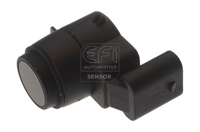 EFI AUTOMOTIVE 306009