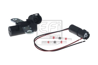 EFI AUTOMOTIVE 303483