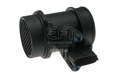 EFI AUTOMOTIVE 305093