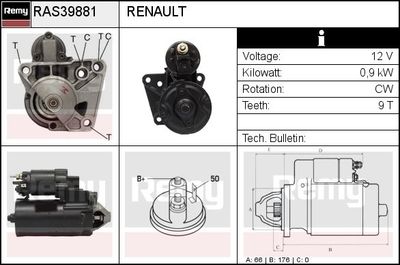 REMY RAS39881