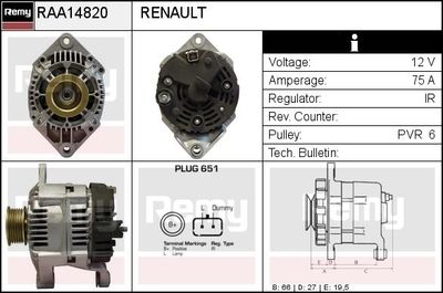 REMY RAA14820