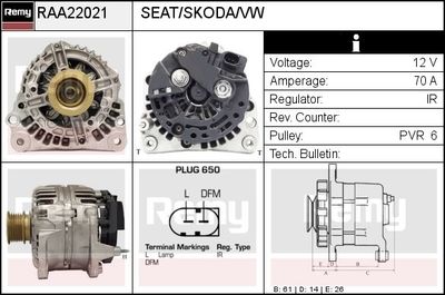 REMY RAA22021