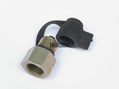 HALDEX 318056001