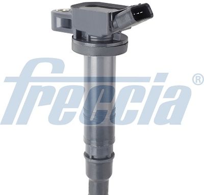 FRECCIA IC15-1099