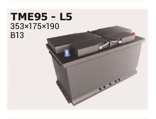 IPSA TME95