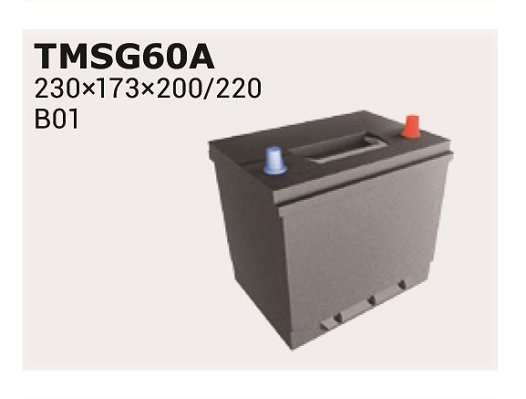 IPSA TMSG65A