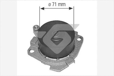 HUTCHINSON WP0025V