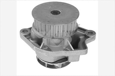 HUTCHINSON WP0032V
