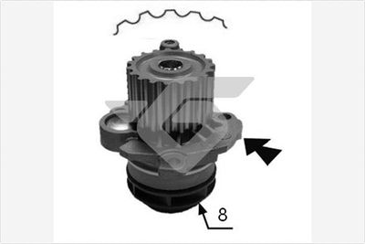 HUTCHINSON WP0079V