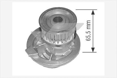 HUTCHINSON WP0020V