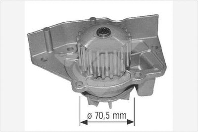 HUTCHINSON WP0030V