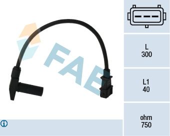 FAE 79096