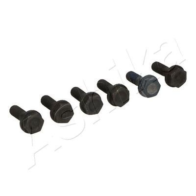 ASHIKA 54-02-204 ASHIKA 54-02-204