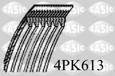 SASIC 4PK613